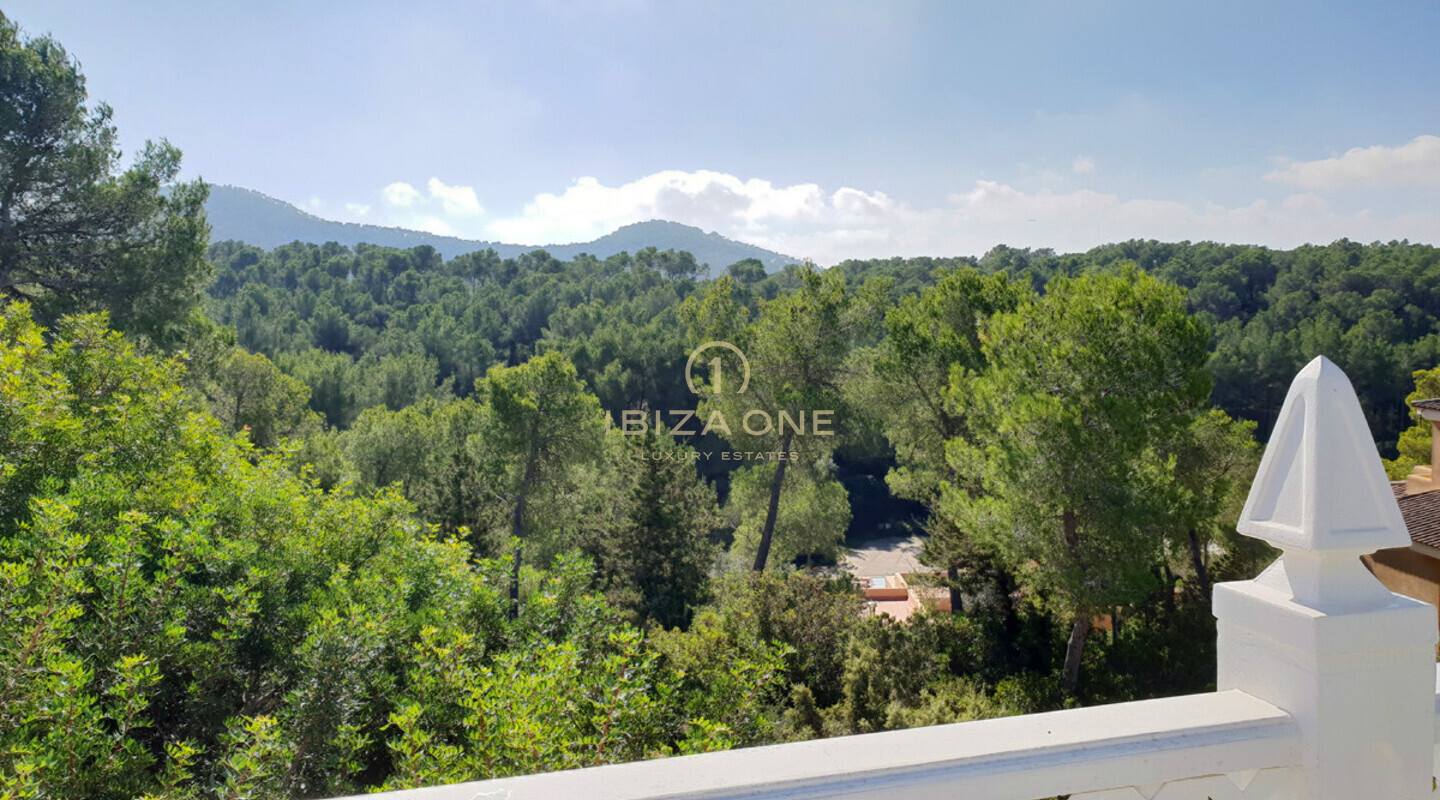 Bellissima villa di lusso vicino a Ibiza in vendita - villa di lusso in affitto, Ibiza