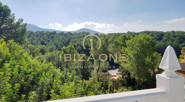 Beautiful luxury villa close to Ibiza for sale - luxury villa for rent, Ibiza