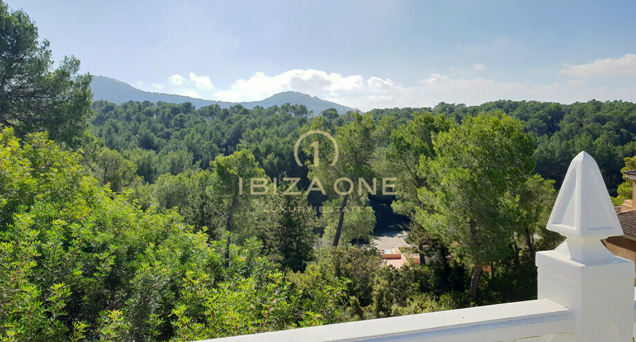 Photos of the property