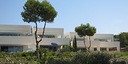 Foto dell'oggetto