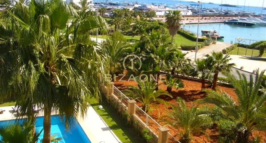 صور العرض
