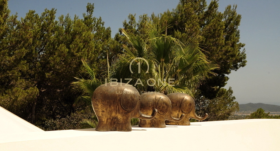 Photos of the property