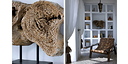 Photo de l'objet