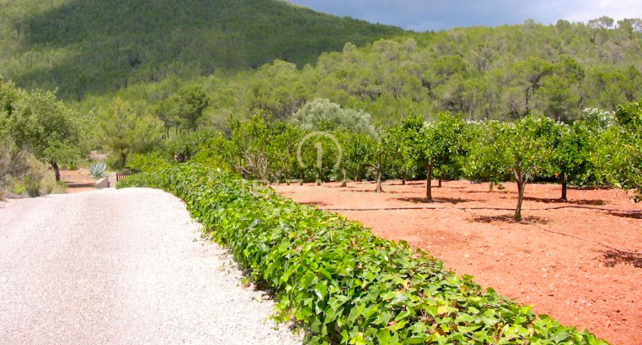 صور العرض