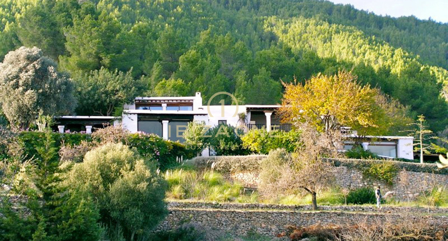 Photos of the property