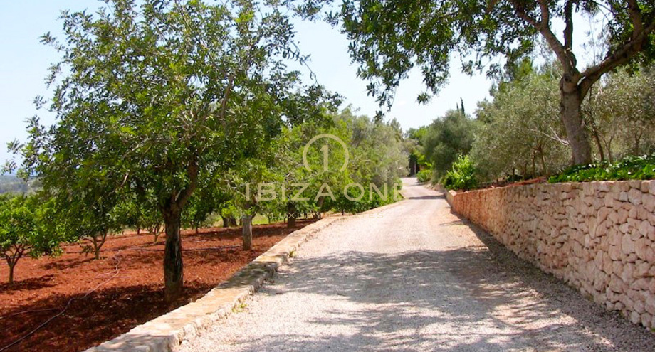 صور العرض