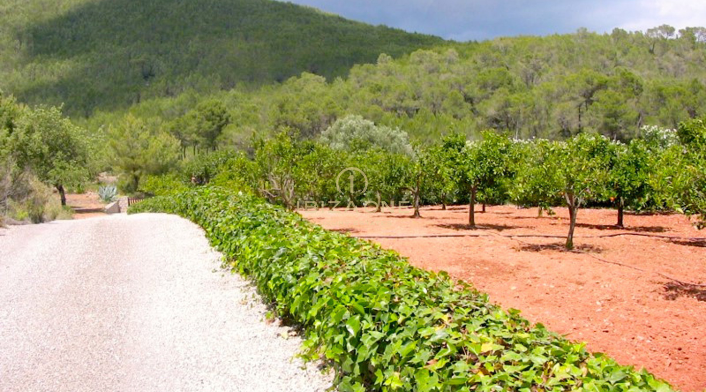 Lussuosa e signorile Finca Blakstad con splendida vista in affitto, Ibiza - Lussuosa e signorile Finca Blakstad con splendida vista in vendita, Ibiza