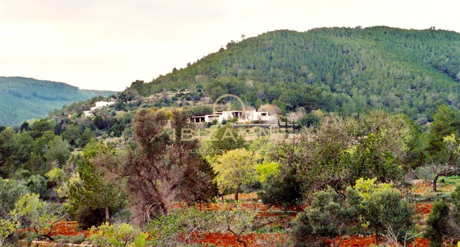 صور العرض