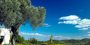 Foto dell'oggetto