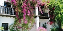 صور العرض