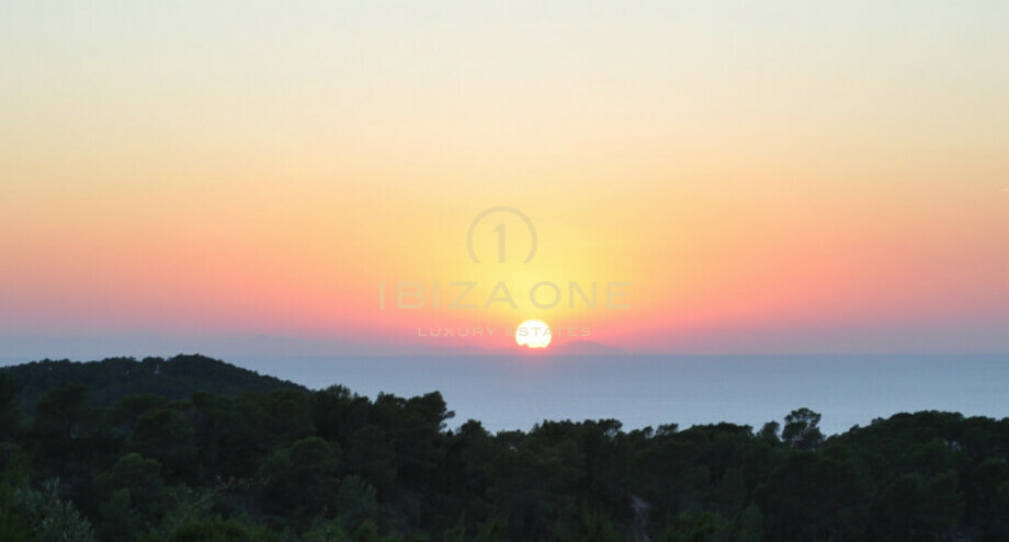 Foto dell'oggetto