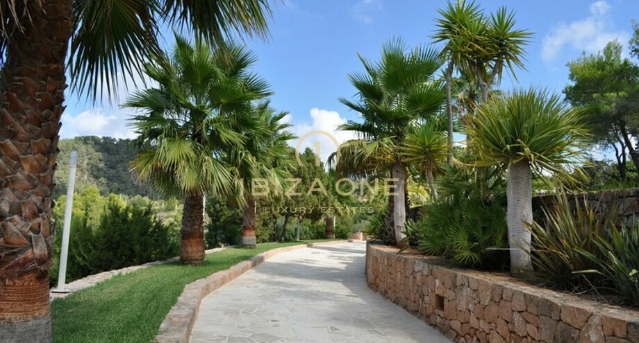 Foto dell'oggetto