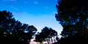 Foto dell'oggetto