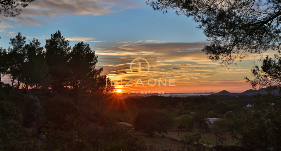 Foto dell'oggetto