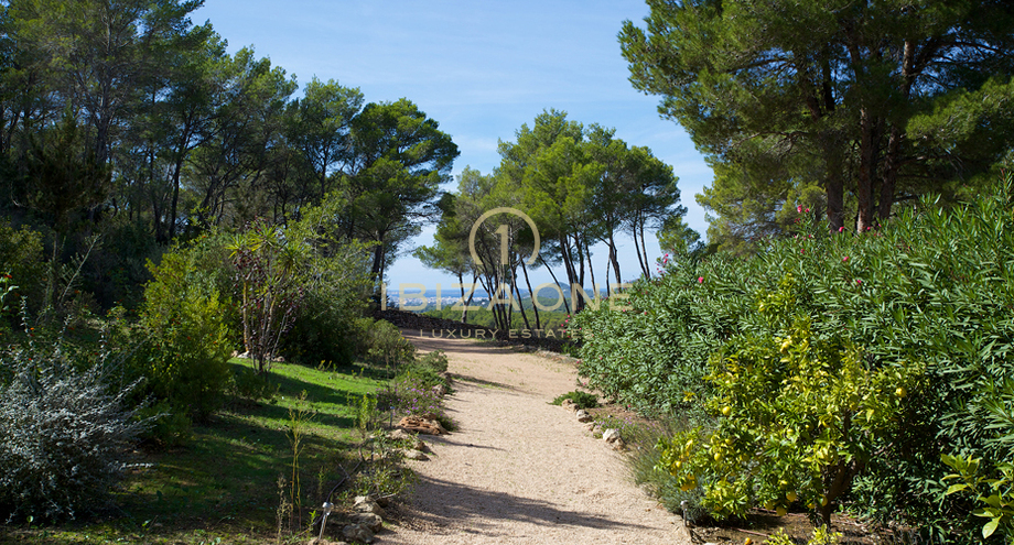 Photo de l'objet