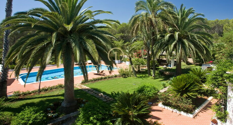 Foto dell'oggetto