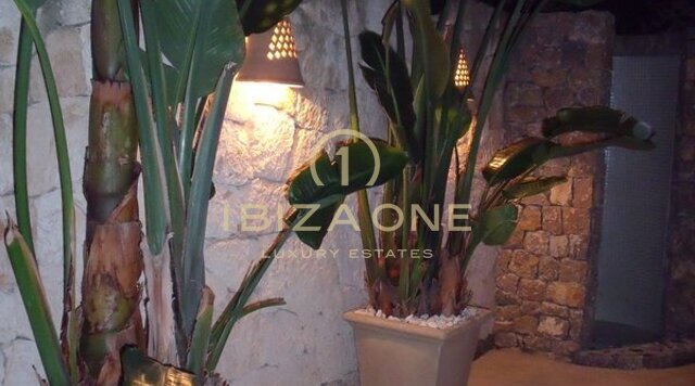 Luxuriöses Apartment in erster Meereslinie zu verkaufen, Ibiza - Luxuriöses Apartment in erster Meereslinie zu vermieten, Ibiza