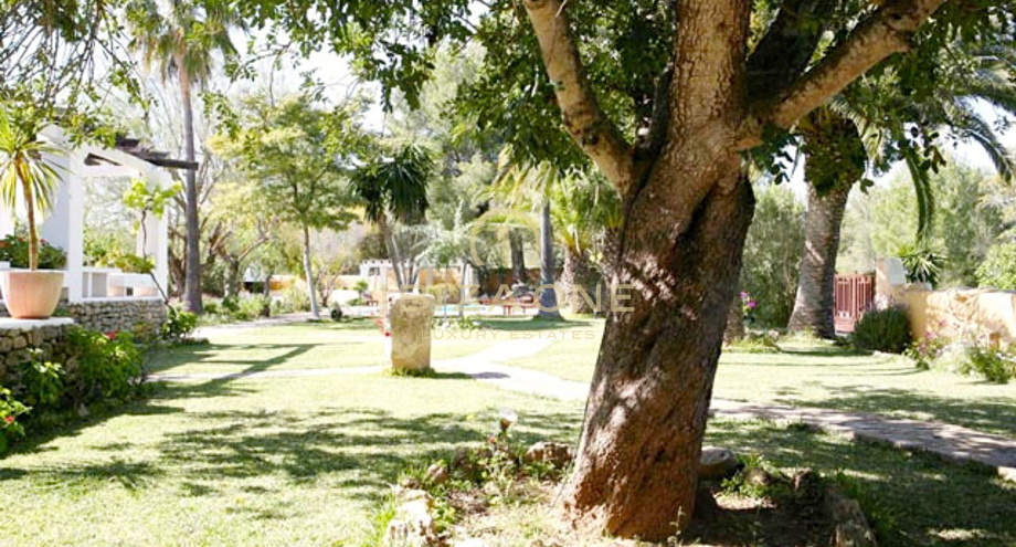 Photos of the property