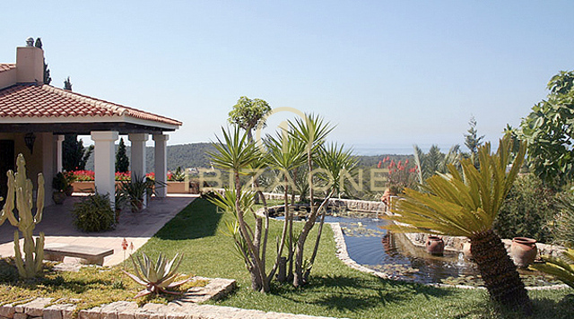 Photos of the property