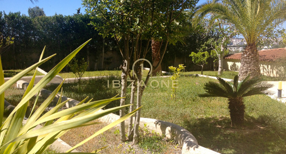 صور العرض