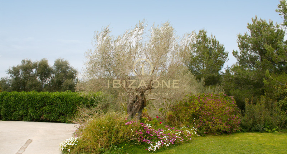 صور العرض