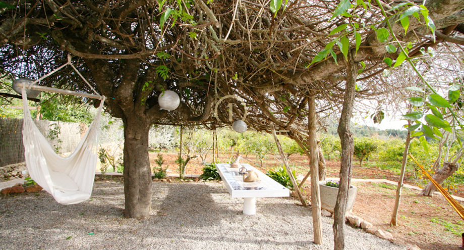 Photo de l'objet