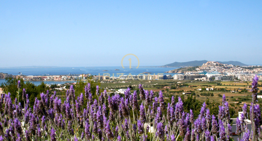 صور العرض