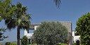 Foto dell'oggetto