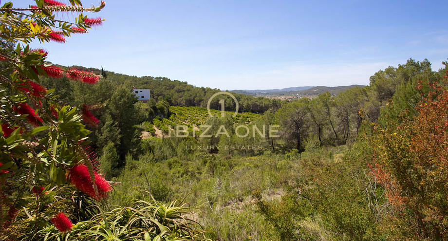 Photos of the property