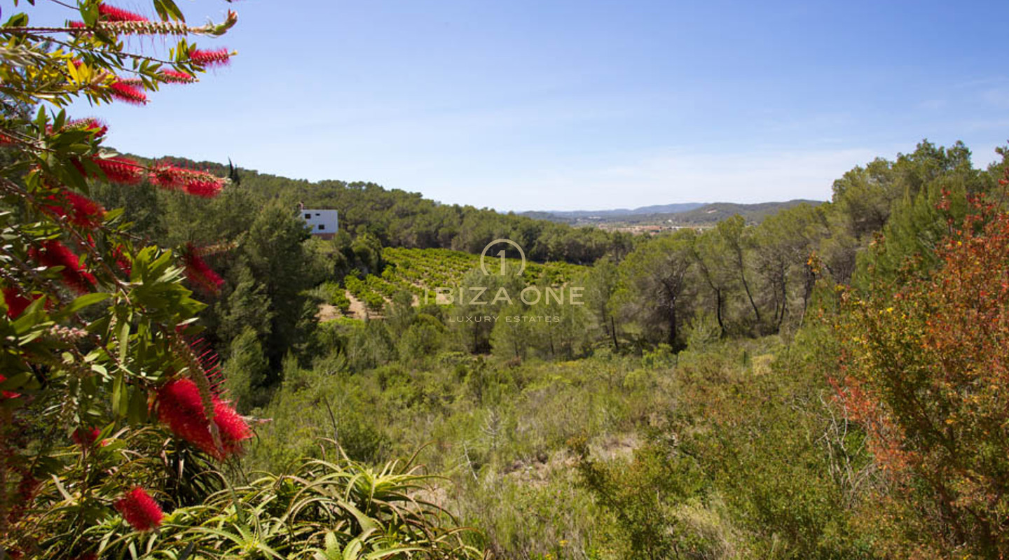 Finca señorial de lujo con gran parcela - cerca de Ibiza y Santa Eulalia en venta, Ibiza - Finca señorial de lujo con gran parcela - cerca de Ibiza y Santa Eulalia en alquiler, Ibiza
