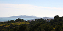 Foto dell'oggetto