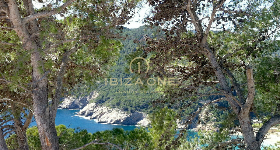 Photos of the property