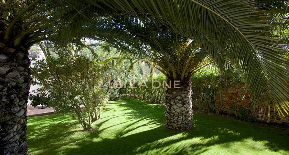 صور العرض