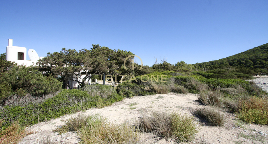 Photos of the property