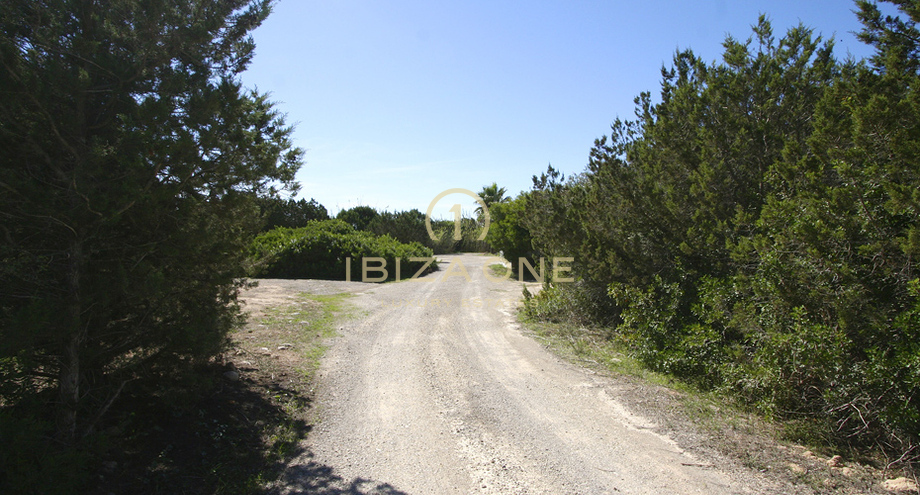 Photos of the property