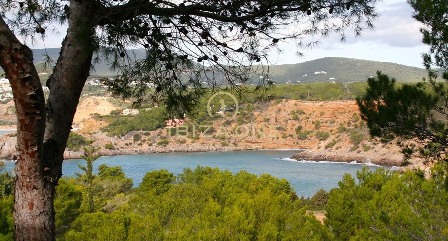 Photos of the property