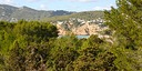 Photo de l'objet