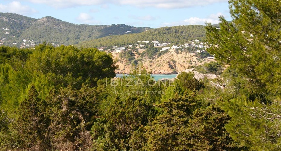 Photos of the property