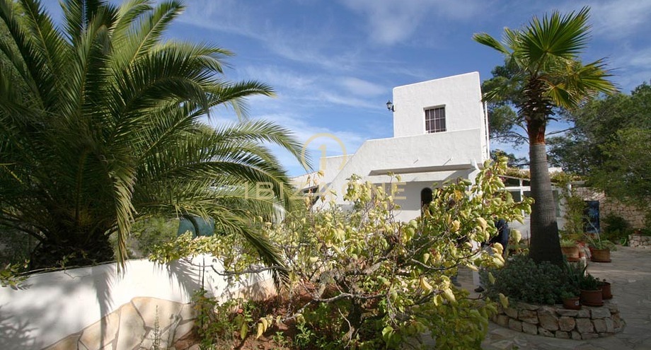 Photos of the property