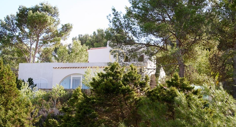 Photos of the property