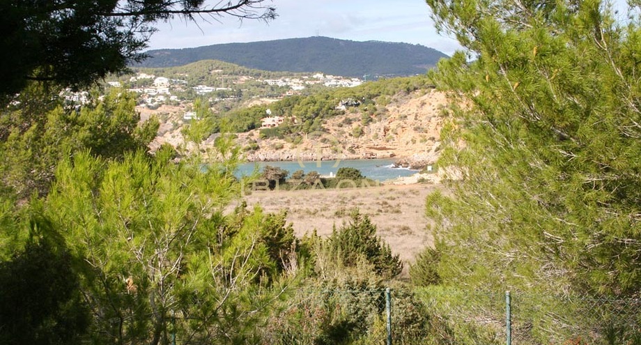 Photo de l'objet
