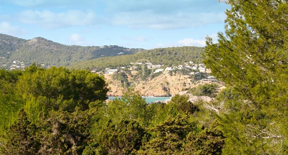 Foto dell'oggetto