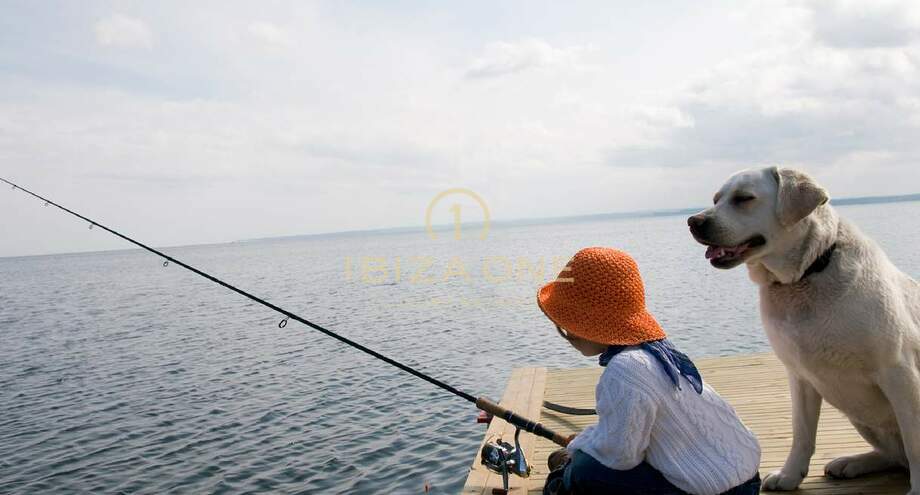 صور العرض