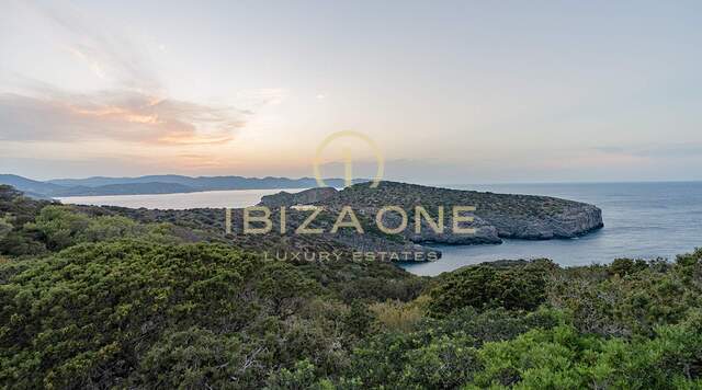 Tu escapada perfecta: alquiler de lujo en una isla privada en Ibiza