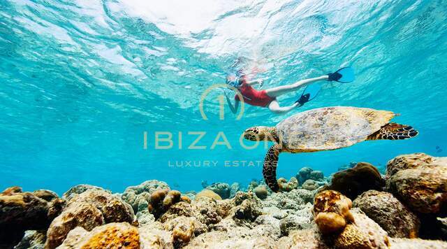 Ihr ultimativer Kurzurlaub: Luxuriöse Privatinsel zum Mieten, Ibiza