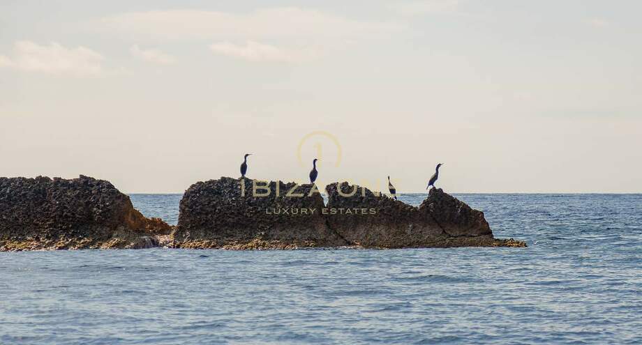 Foto van het vastgoed