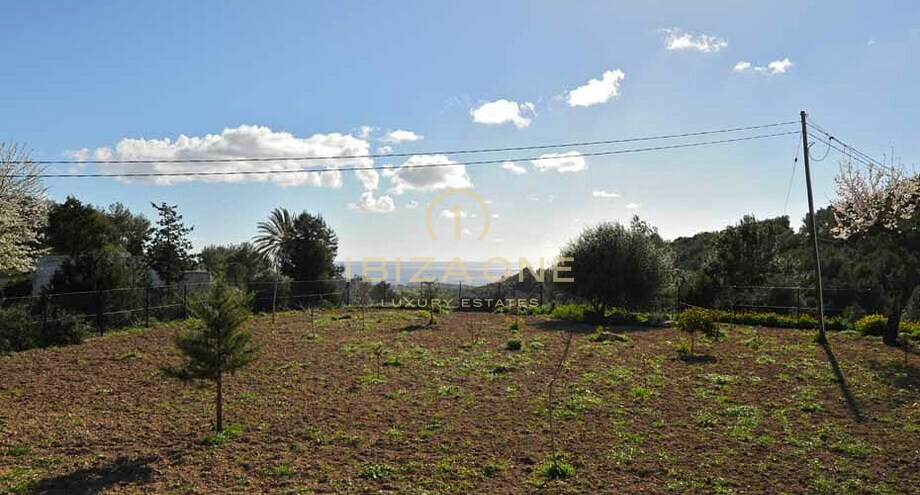 Photos of the property