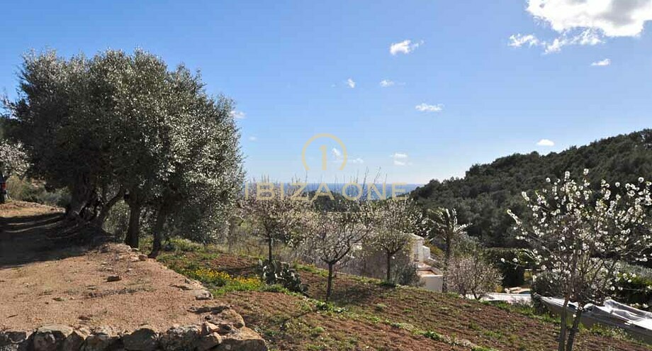 Photos of the property