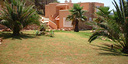 صور العرض