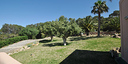 Foto dell'oggetto
